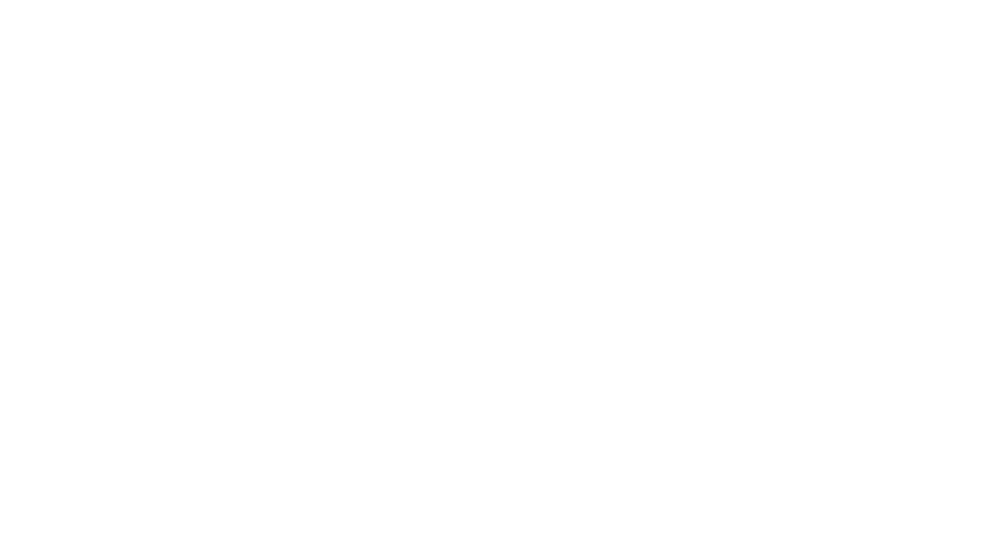logo_belyi_bez_fona