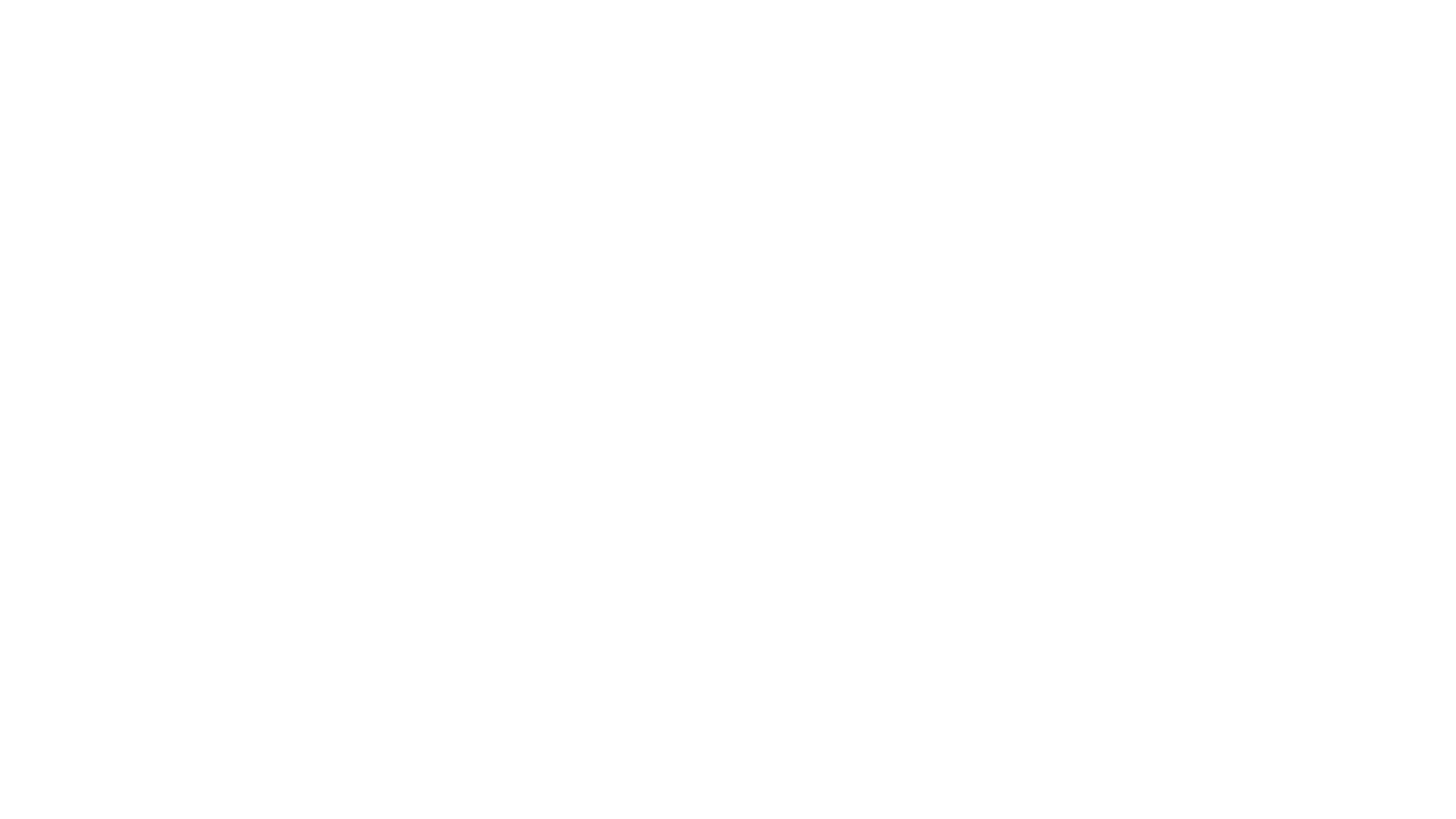 Logo_meest_china_shop_white_1920h1080_bez_fonu